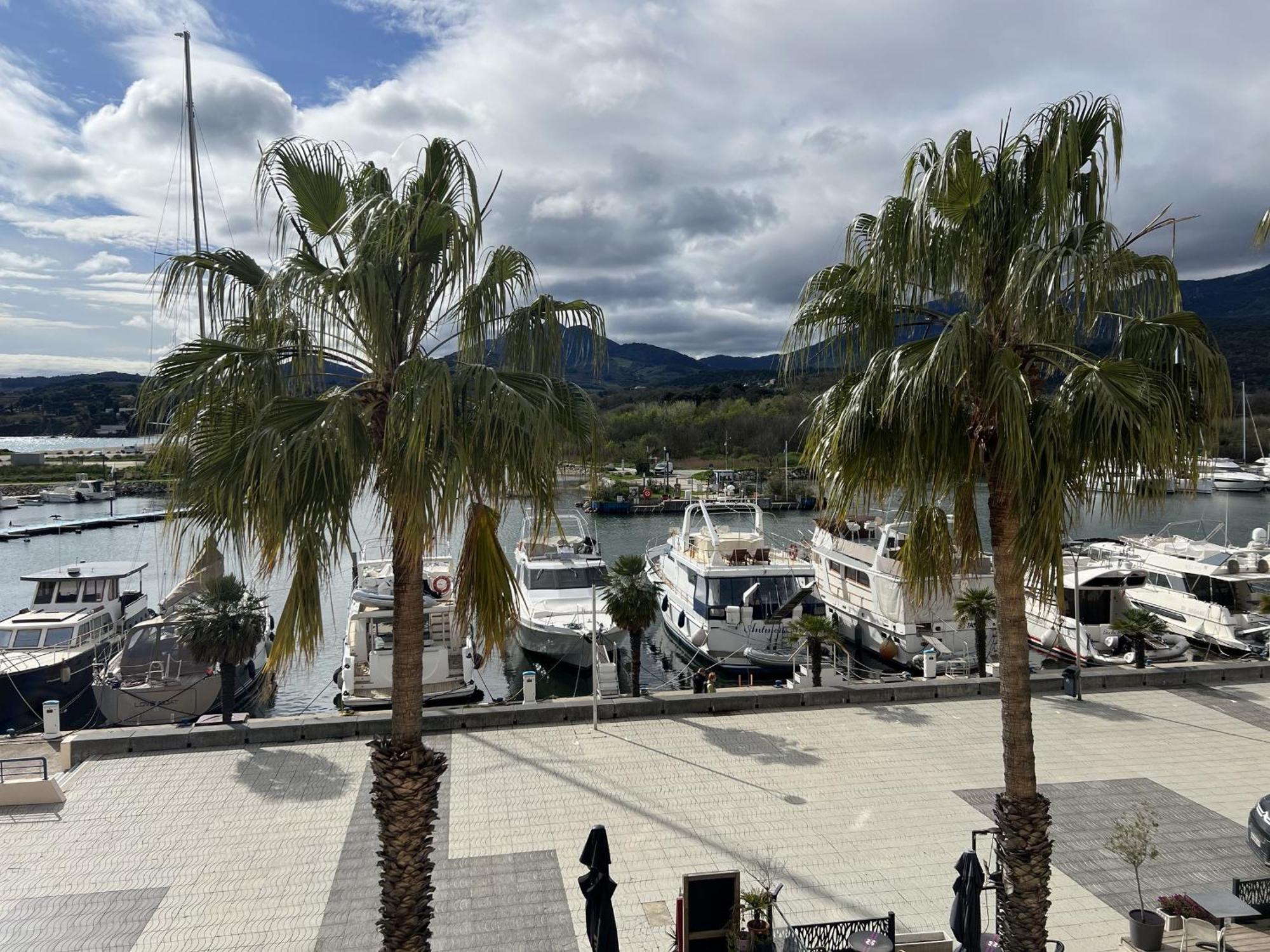 Argeles Sur Mer - Appartement 6 Pers Avec Terrasse Et Parking - Fr-1-309-375 Eksteriør billede